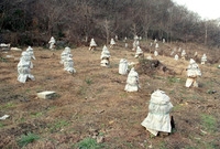 한봉