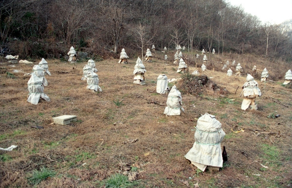 한봉
