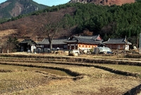 장성 향교
