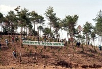 제48회식목일행사