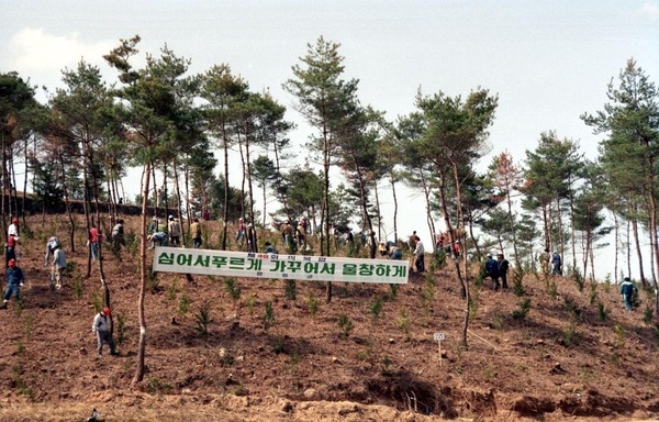 제48회식목일행사