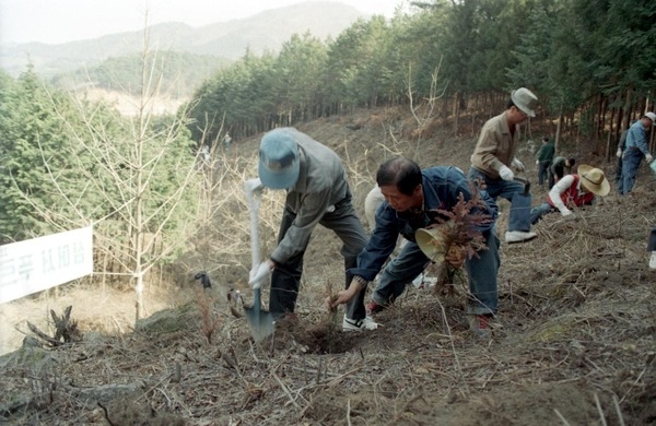 제49회식목일행사