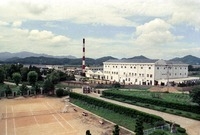 삼양제사