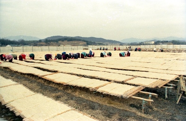 한천재배