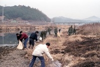 자연보호 정화활동