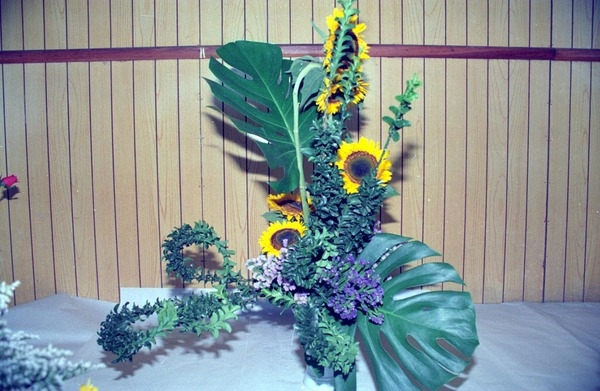 꽃꽂이 전시회