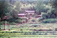 사산사