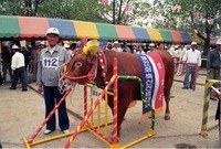 제22회 축산진흥대회