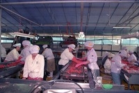 삼동농산