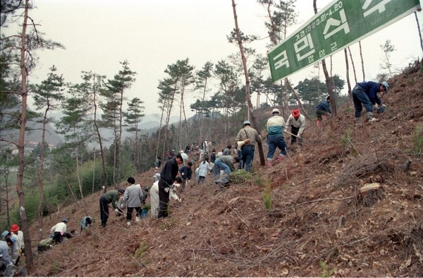 제47회식목일 행사