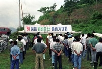 여름퇴비증산풀베기대회