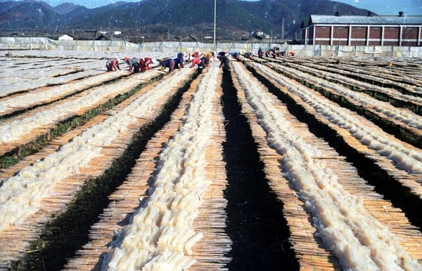 한천공장