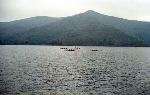 조정경기