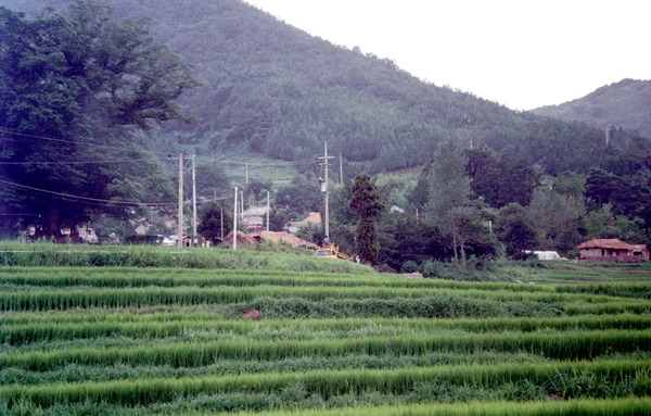 태백산맥영화촬영