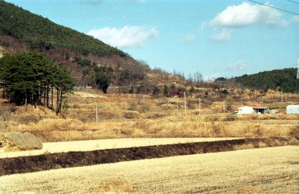 삼계토지구획 정리사업(전)