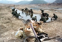 황룡강 정화