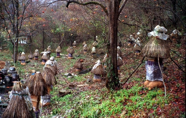 한봉