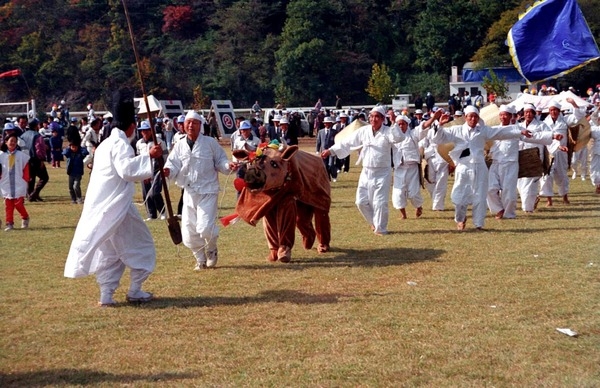 제15회 군민의날