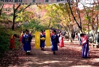 제15회 군민의 날