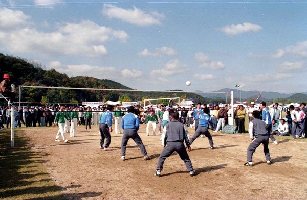 제15회 군민의 날