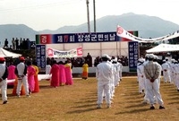 제17회 군민의 날