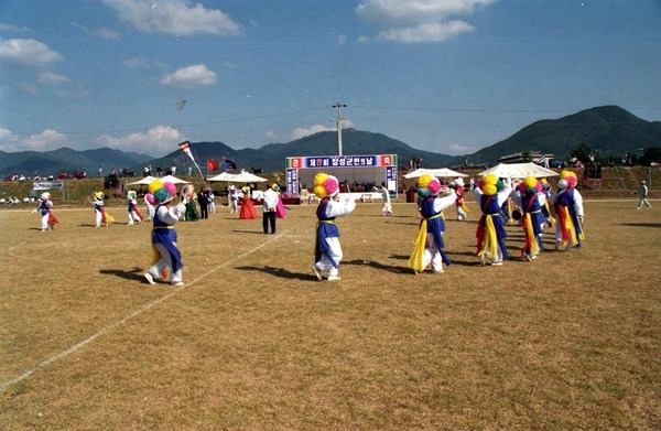 제17회 군민의 날