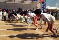 제17회 군민의 날