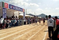 제17회 군민의 날