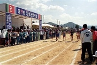 제17회 군민의 날