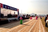 제17회 군민의 날