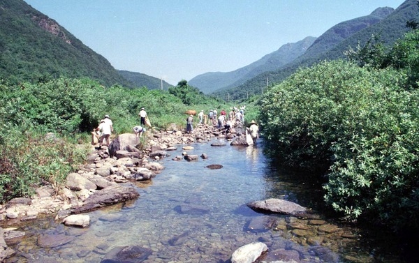 자연보호 활동 (남창계곡)