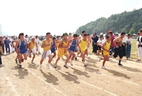 제18회 장성 군민의 날