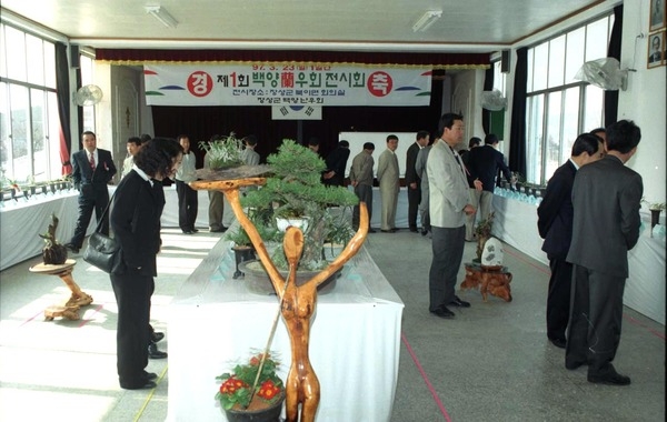 제1회 백양난 우회전시회