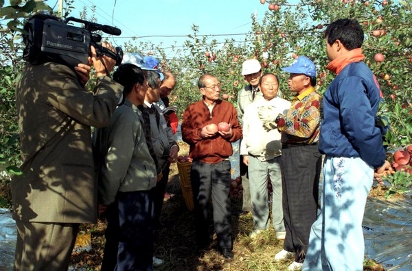 사과수확