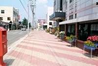 정비된시가지보도블럭(장성군...