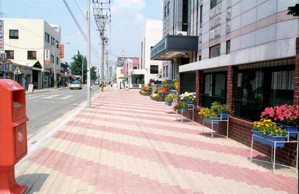 정비된시가지보도블럭(장성군청앞)