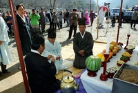 장성백암산고로쇠축제