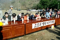 장성백암산고로쇠축제