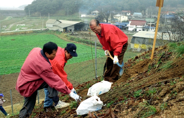 제52회식목일