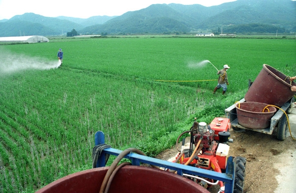 농약 공동방제(동화면)