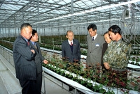 유리온실