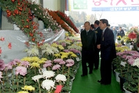 장성실고 제11회 행록축제