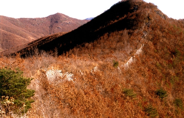 입암산성