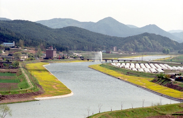 황룡강 둔치