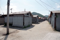 사창시장