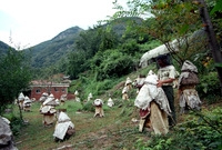 한봉