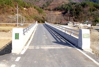 대정교