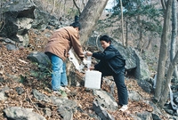 고로쇠약수