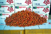 방울토마토