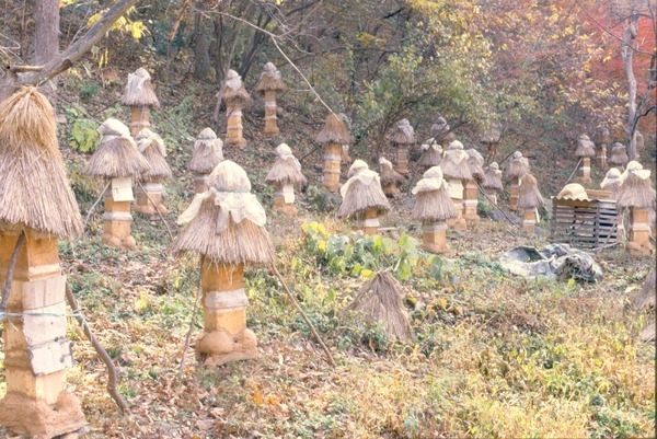 한봉